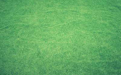 Wat is het voordeel van kunstgras?