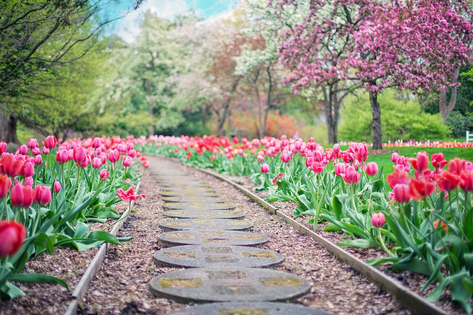 Je tuin toekomstbestendig maken